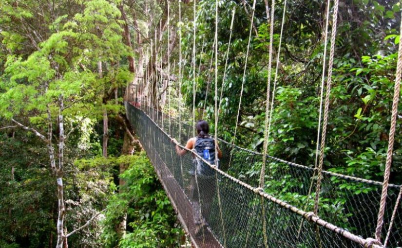 malaysia tour